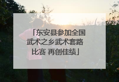 东安县参加全国武术之乡武术套路比赛 再创佳绩