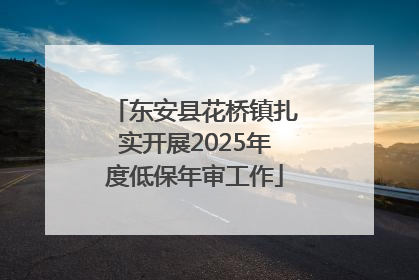 东安县花桥镇扎实开展2025年度低保年审工作