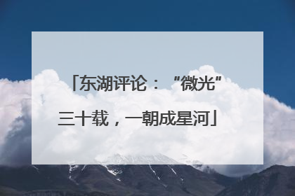 东湖评论：“微光”三十载，一朝成星河