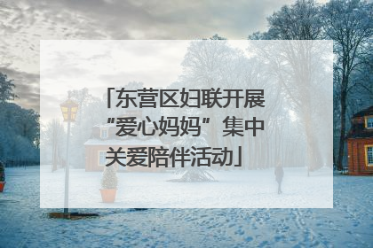 东营区妇联开展“爱心妈妈”集中关爱陪伴活动