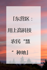 东营区：用上高科技 农民“慧”种地