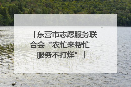 东营市志愿服务联合会“农忙来帮忙 服务不打烊”