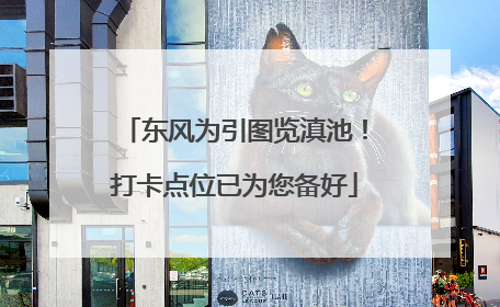 东风为引图览滇池！打卡点位已为您备好