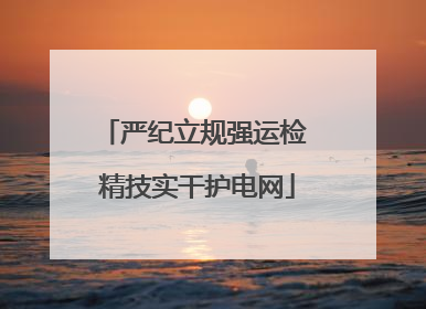 严纪立规强运检 精技实干护电网