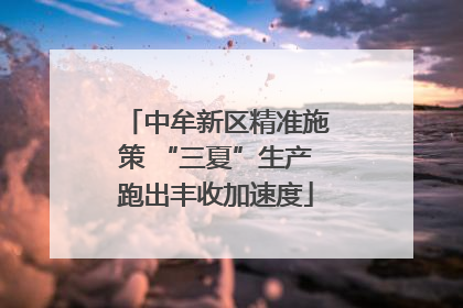 中牟新区精准施策 “三夏”生产跑出丰收加速度