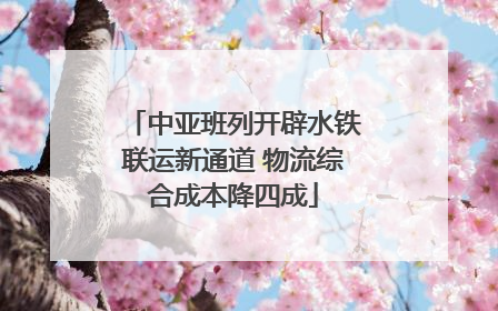 中亚班列开辟水铁联运新通道 物流综合成本降四成