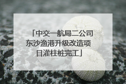 中交一航局二公司东沙渔港升级改造项目灌柱桩完工