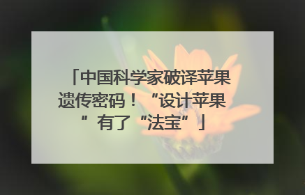 中国科学家破译苹果遗传密码！“设计苹果”有了“法宝”