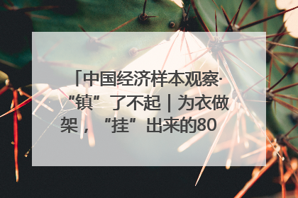 中国经济样本观察·“镇”了不起｜为衣做架，“挂”出来的80亿元“衣架产业”