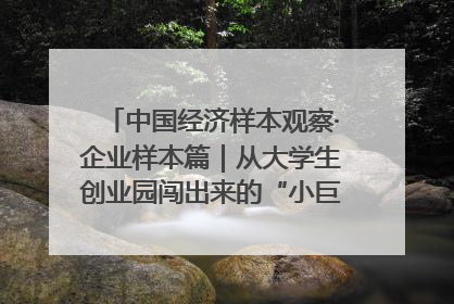 中国经济样本观察·企业样本篇｜从大学生创业园闯出来的“小巨人”——卡诺普机器人的逐梦历程