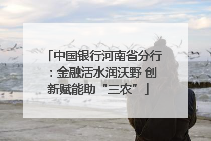中国银行河南省分行：金融活水润沃野 创新赋能助“三农”