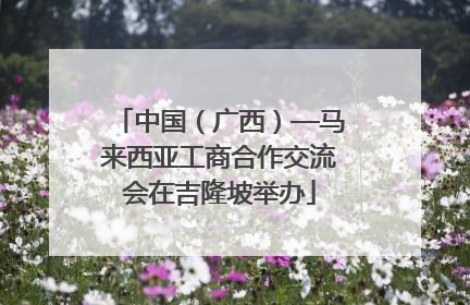 中国（广西）—马来西亚工商合作交流会在吉隆坡举办