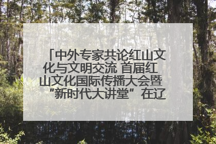 中外专家共论红山文化与文明交流 首届红山文化国际传播大会暨“新时代大讲堂”在辽宁朝阳举办