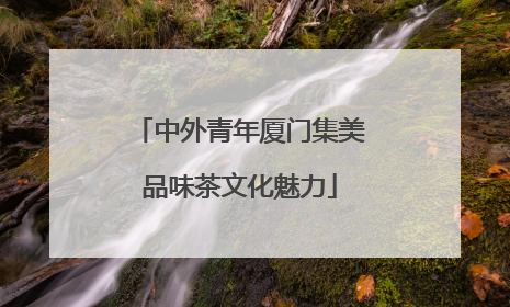 中外青年厦门集美品味茶文化魅力