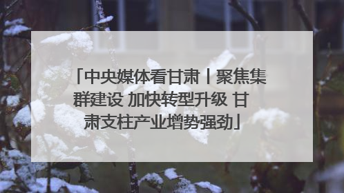 中央媒体看甘肃丨聚焦集群建设 加快转型升级 甘肃支柱产业增势强劲