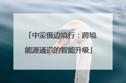 中蒙俄边境行：跨境能源通道的智能升级