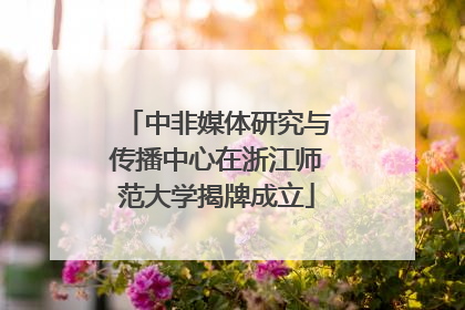 中非媒体研究与传播中心在浙江师范大学揭牌成立