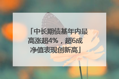 中长期债基年内最高涨超4%，超6成净值表现创新高