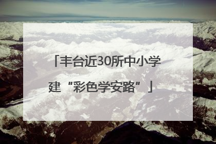 丰台近30所中小学建“彩色学安路”