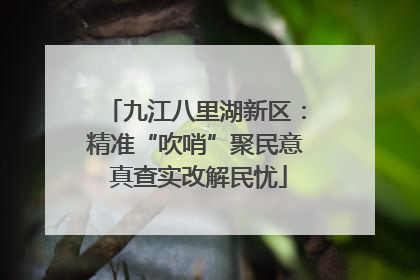 九江八里湖新区：精准“吹哨”聚民意 真查实改解民忧