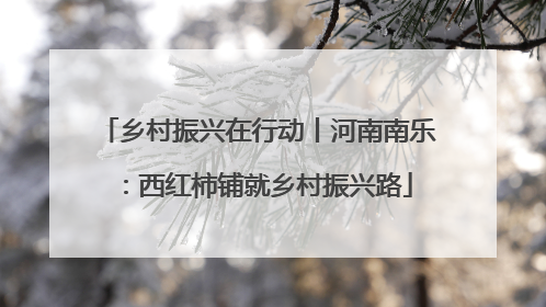 乡村振兴在行动丨河南南乐：西红柿铺就乡村振兴路