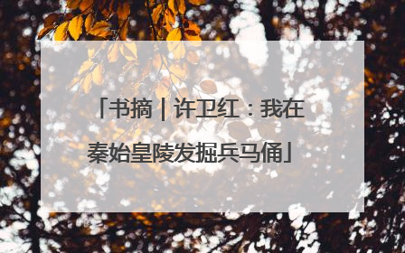 书摘｜许卫红：我在秦始皇陵发掘兵马俑