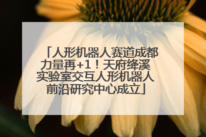 人形机器人赛道成都力量再+1！天府绛溪实验室交互人形机器人前沿研究中心成立