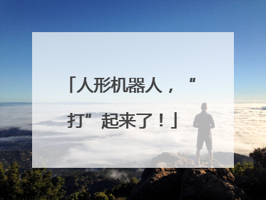 人形机器人，“打”起来了！