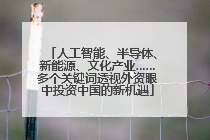 人工智能、半导体、新能源、文化产业……多个关键词透视外资眼中投资中国的新机遇