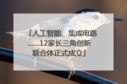 人工智能、集成电路……12家长三角创新联合体正式成立