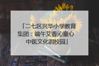 二七区兴华小学教育集团：端午艾香沁童心 中医文化润校园