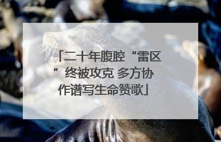 二十年腹腔“雷区”终被攻克 多方协作谱写生命赞歌