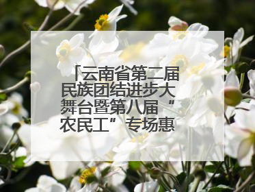 云南省第二届民族团结进步大舞台暨第八届“农民工”专场惠民演出启幕