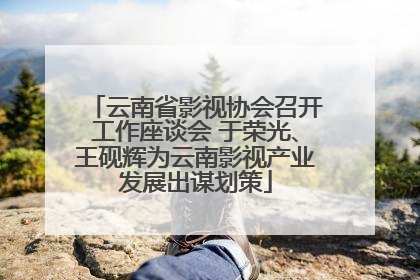 云南省影视协会召开工作座谈会 于荣光、王砚辉为云南影视产业发展出谋划策