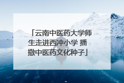 云南中医药大学师生走进西冲小学 播撒中医药文化种子