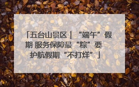五台山景区｜“端午”假期 服务保障最“粽”要 护航假期“不打烊”