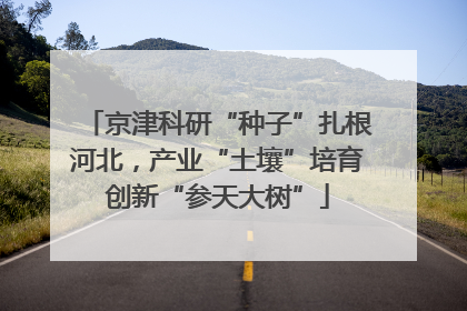 京津科研“种子”扎根河北，产业“土壤”培育创新“参天大树”