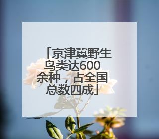 京津冀野生鸟类达600余种，占全国总数四成