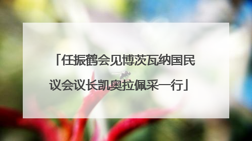 任振鹤会见博茨瓦纳国民议会议长凯奥拉佩采一行