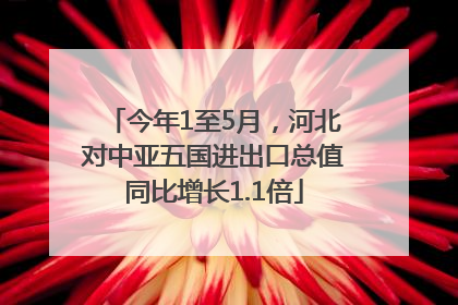 今年1至5月，河北对中亚五国进出口总值同比增长1.1倍