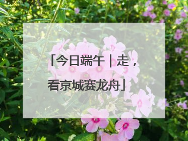 今日端午｜走，看京城赛龙舟