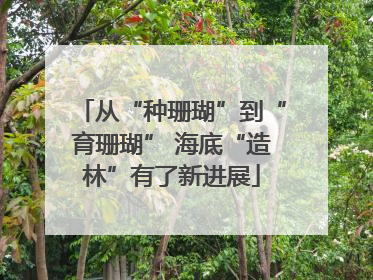 从“种珊瑚”到“育珊瑚” 海底“造林”有了新进展