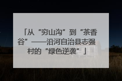 从“穷山沟”到“茶香谷”——沿河自治县志强村的“绿色逆袭”