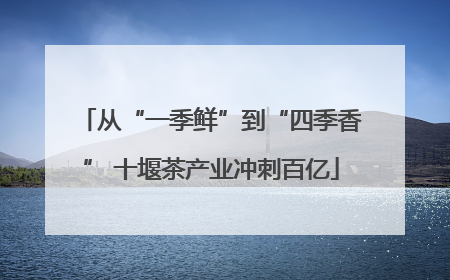 从“一季鲜”到“四季香” 十堰茶产业冲刺百亿