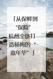 从保鲜到“保险” 杭州全链打造杨梅的“嘉年华”
