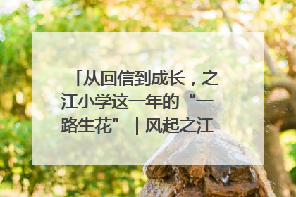 从回信到成长，之江小学这一年的“一路生花”｜风起之江 扶摇直上