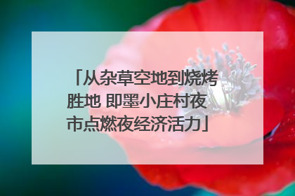 从杂草空地到烧烤胜地 即墨小庄村夜市点燃夜经济活力