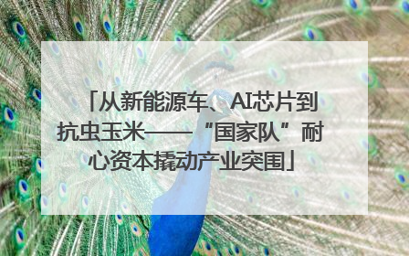 从新能源车、AI芯片到抗虫玉米——“国家队”耐心资本撬动产业突围