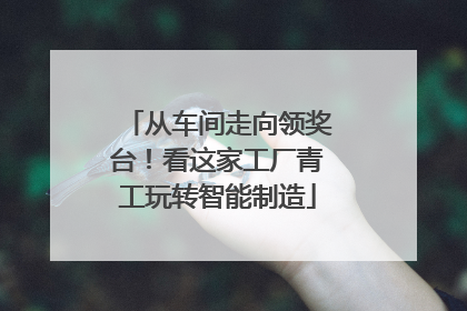 从车间走向领奖台！看这家工厂青工玩转智能制造