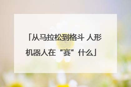从马拉松到格斗 人形机器人在“赛”什么